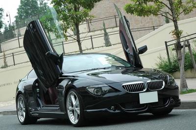 20081009120742-bmw-m6-lsd-2.jpg